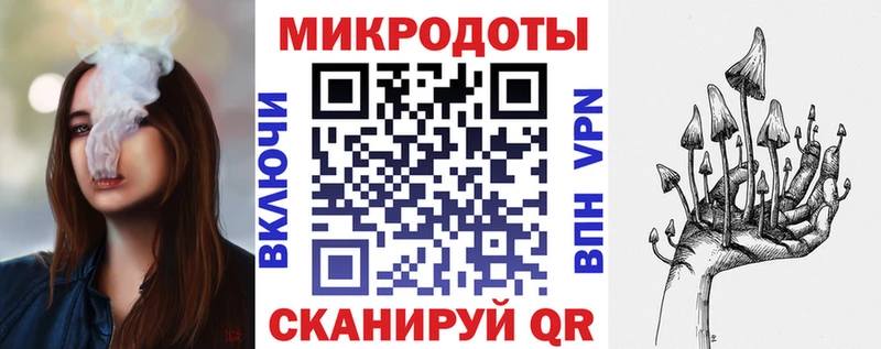 площадка как зайти Валдай Галлюциногенные грибы Cubensis